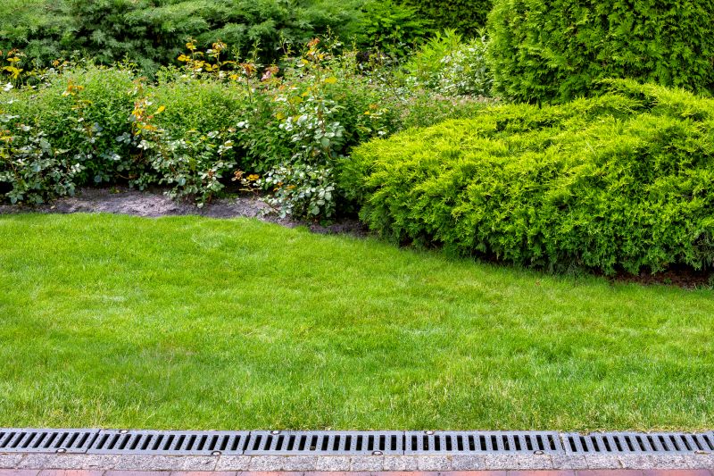 Yard Drainage Installation in Birmingham, AL